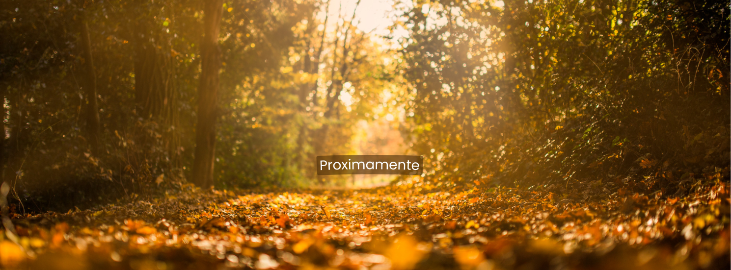 Promo 2